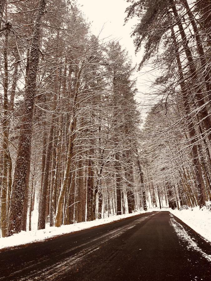 La Veranda Nella Neve - קמיליאטלו סילאנו מראה חיצוני תמונה